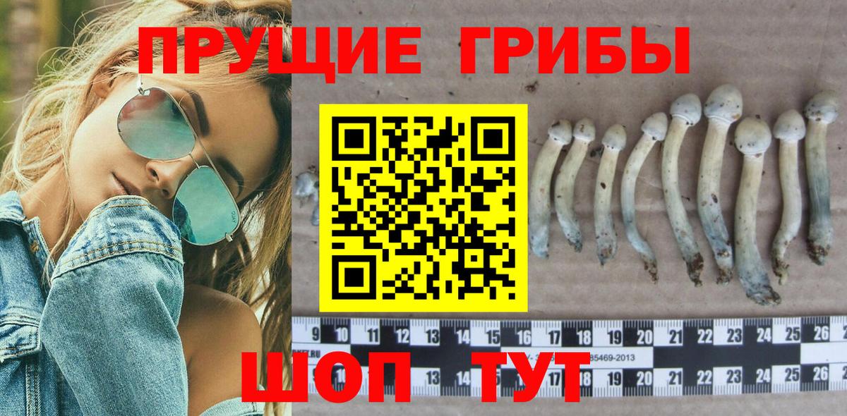 Заволжье  Псилоцибиновые грибы ЛСД  Вход с VPN 