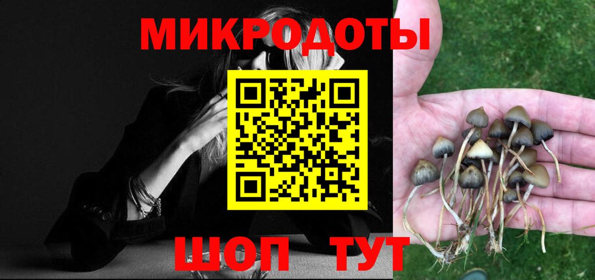 Псилоцибиновые грибы Psilocybe Заволжье